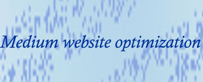 Medium Website Optimization