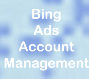Bing Ads Account Management
