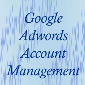 Google Adwords Account management
