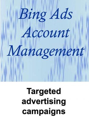 Bing Ads Account Management