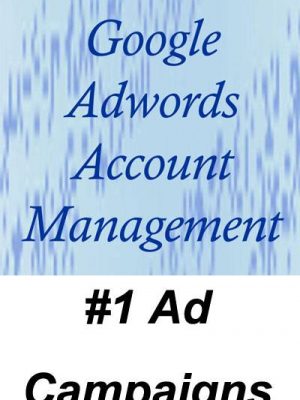 Google Adwords Account Management