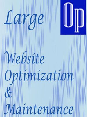 Website optimization for large websites