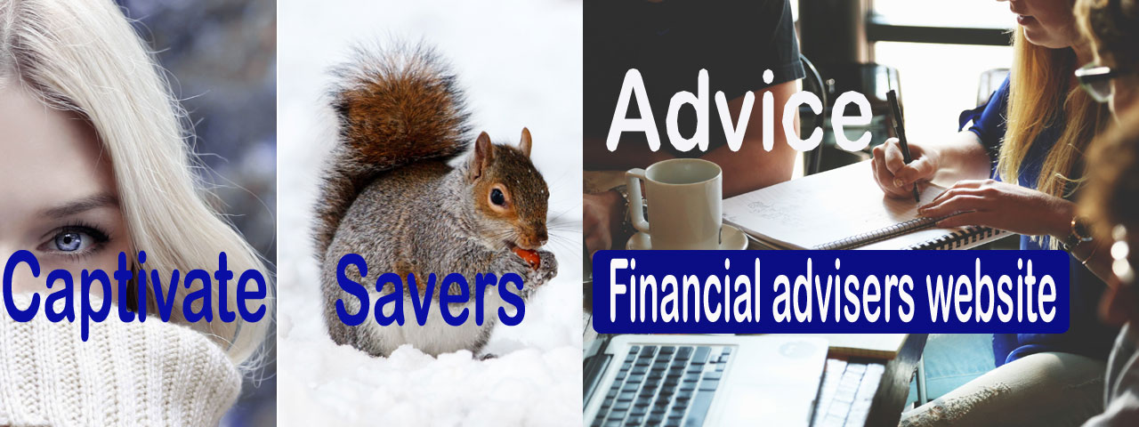 Financial Advisers Website
